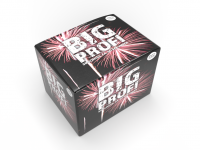 Big Profi, 50 Schu&szlig; Batterie